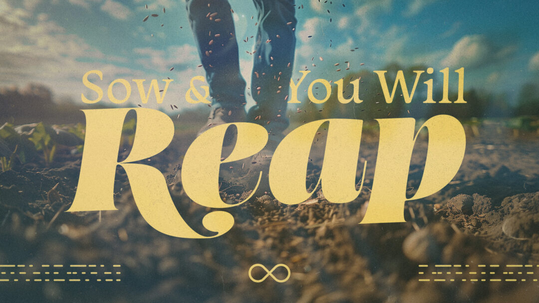 Sow and Reap
